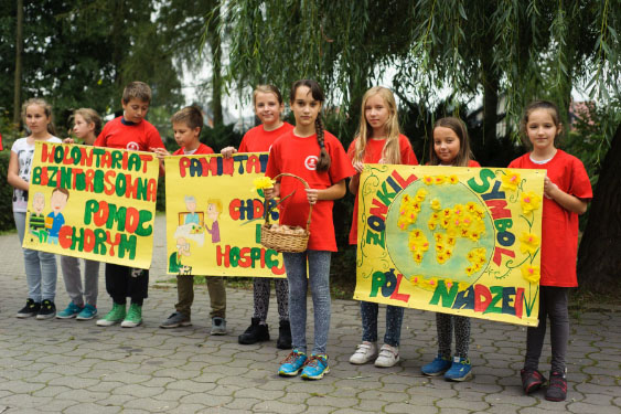 sadzenie zonkili 2015tabl