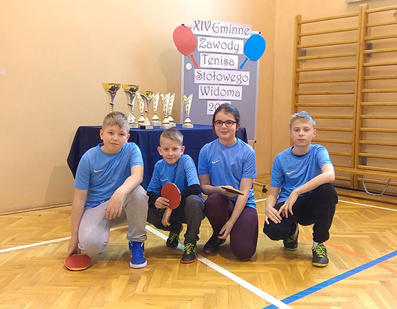 turnie tenisa widoma 2017