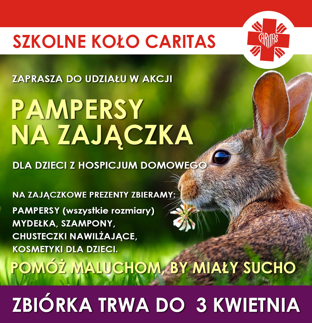 zajaczek2019